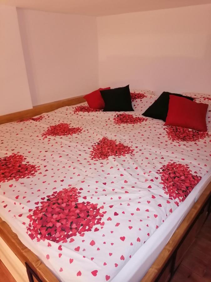 Apartman Stimac Petrovaradin Exterior photo