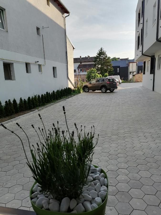 Apartman Stimac Petrovaradin Exterior photo
